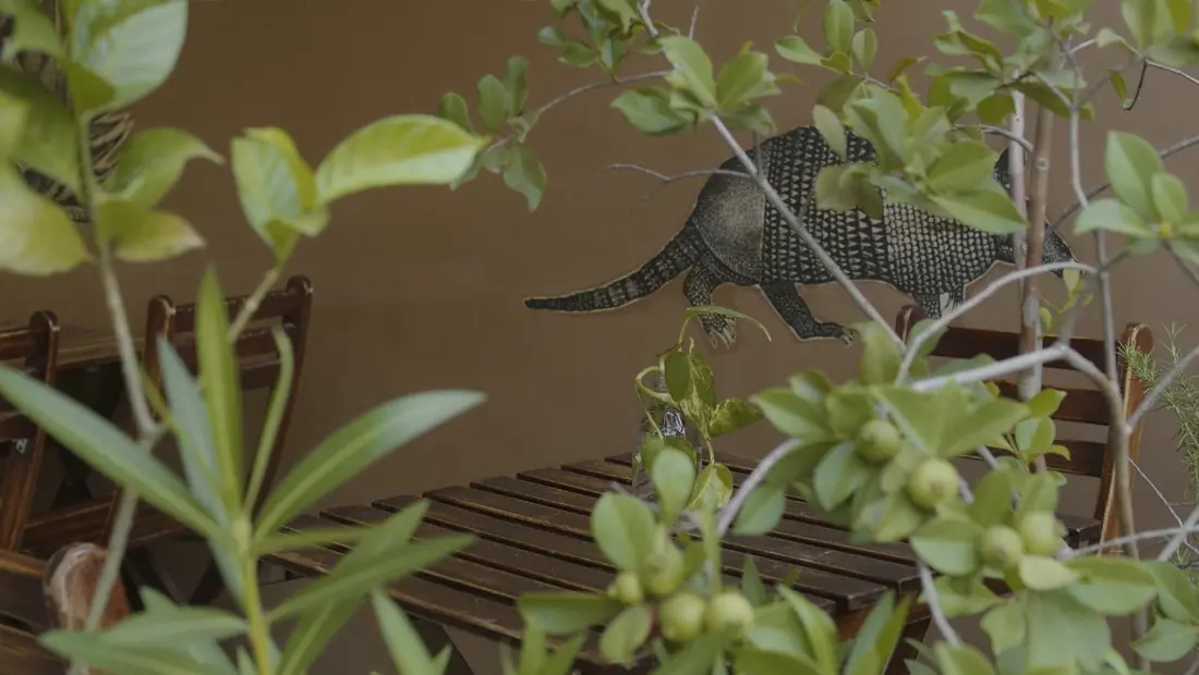 Mural de armadillo entre plantas en la terraza