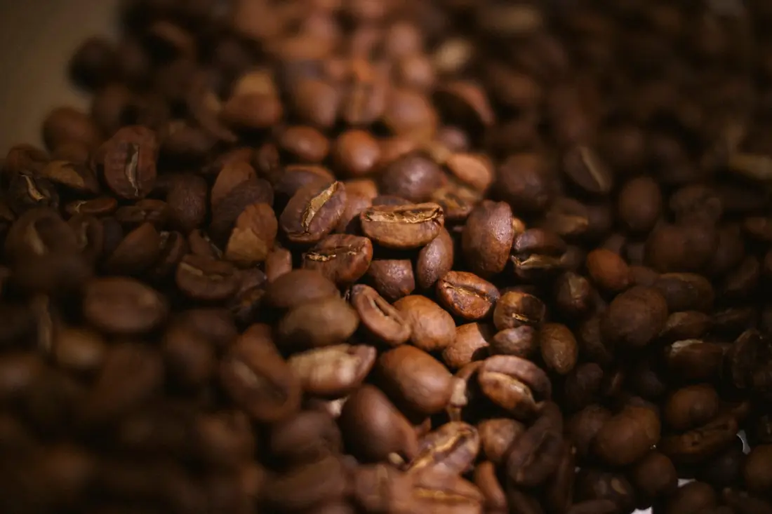 Granos de café tostado